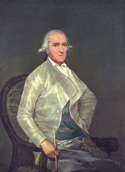 Francisco de Goya Portrait of the painter Francisco Bayeu Spain oil painting art